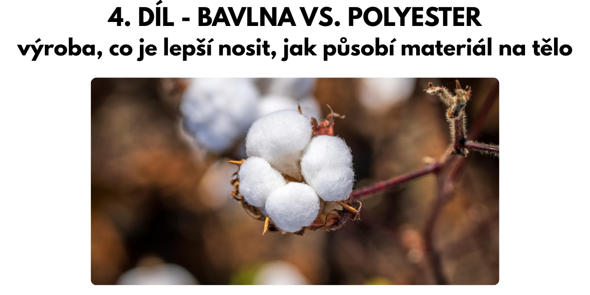 bavlna vs polyester - danami